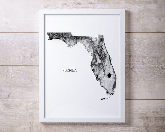 Florida Elevation Map