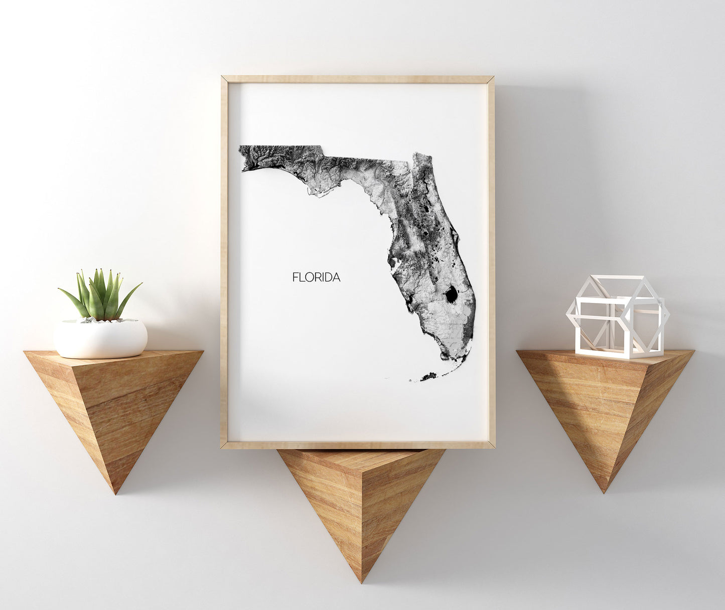 Florida Elevation Map