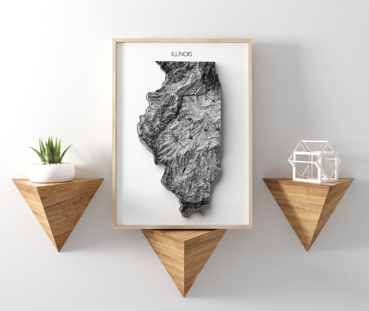 Illinois Elevation Map