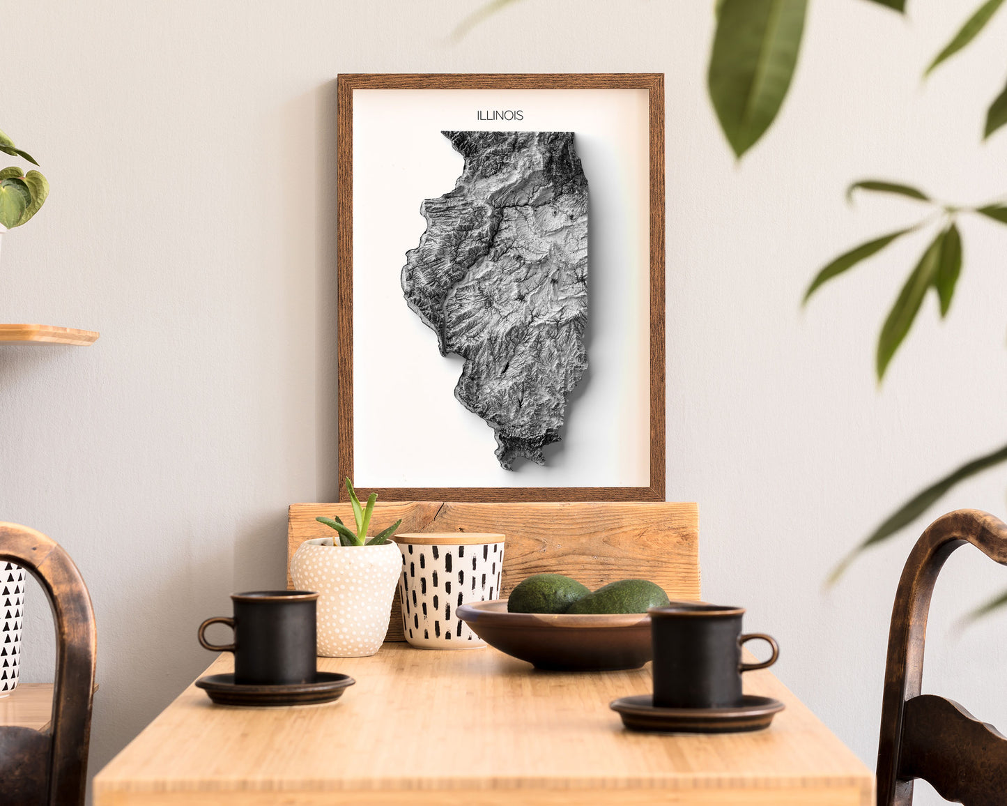 Illinois Elevation Map