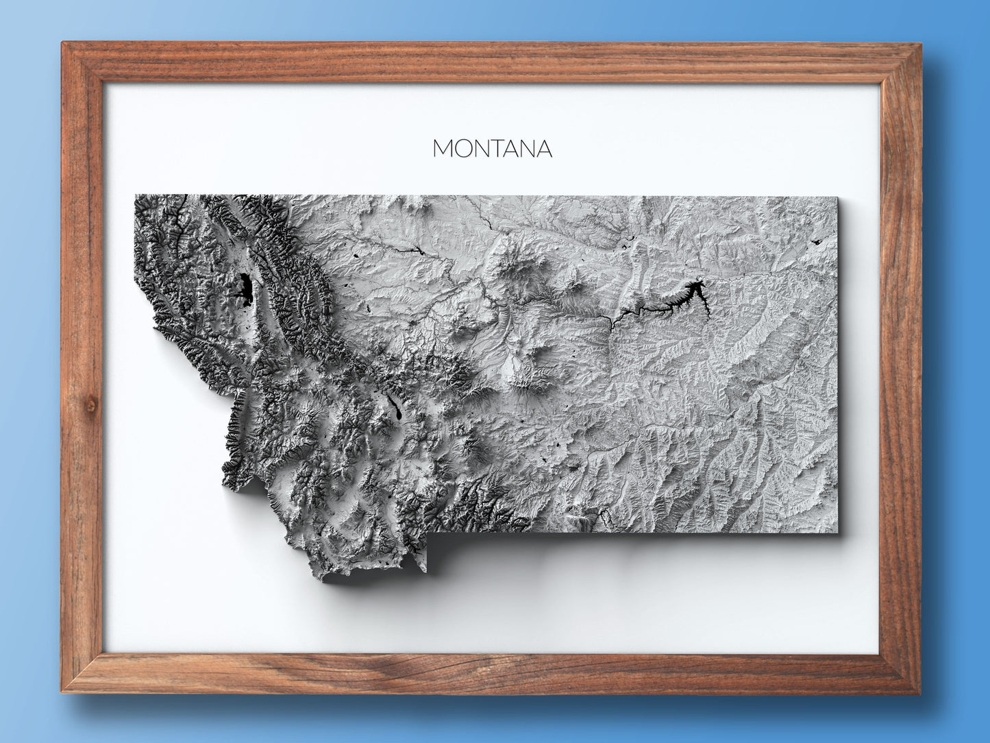 Montana Elevation Map