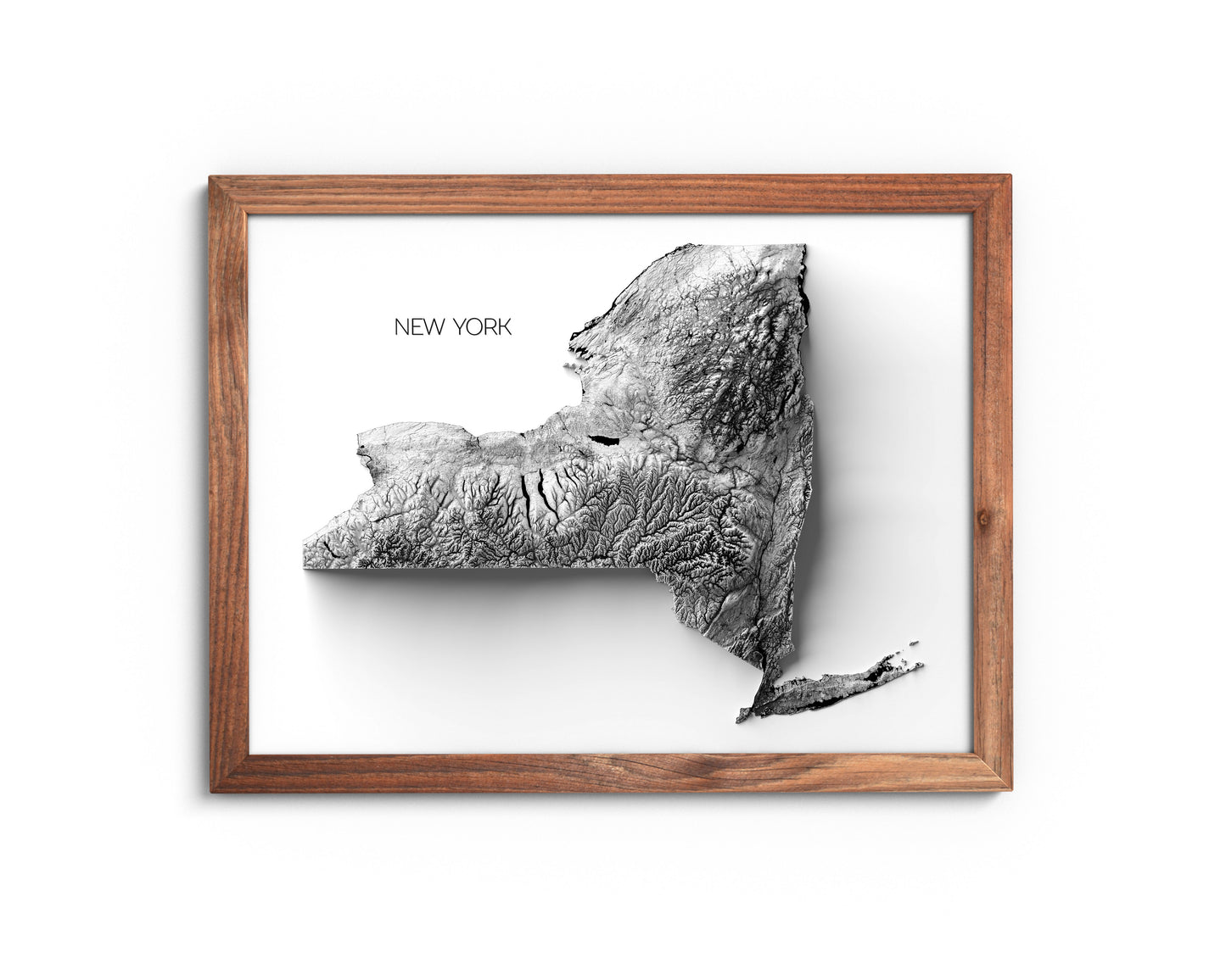 New York Elevation map