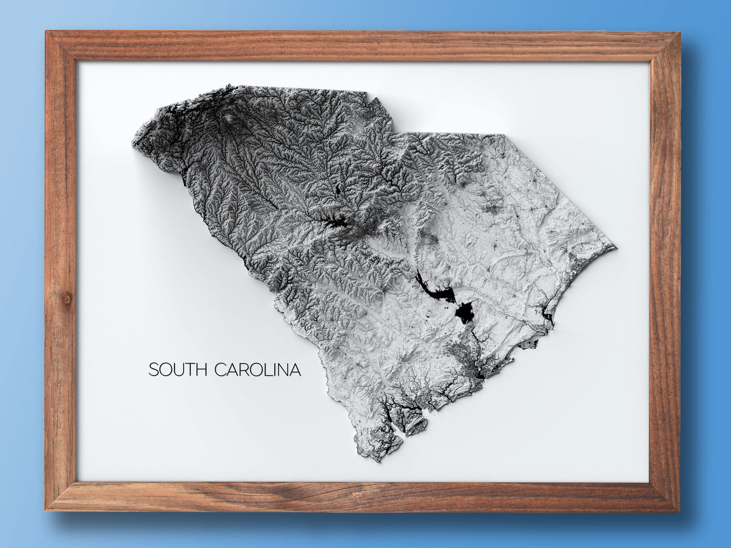 South Carolina Elevation Map