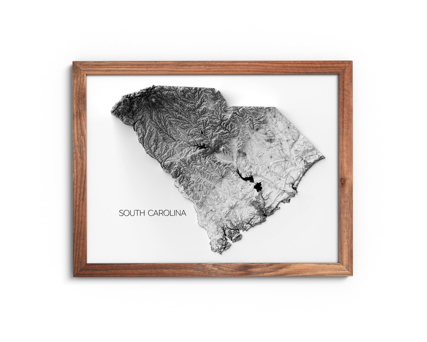 South Carolina Elevation Map