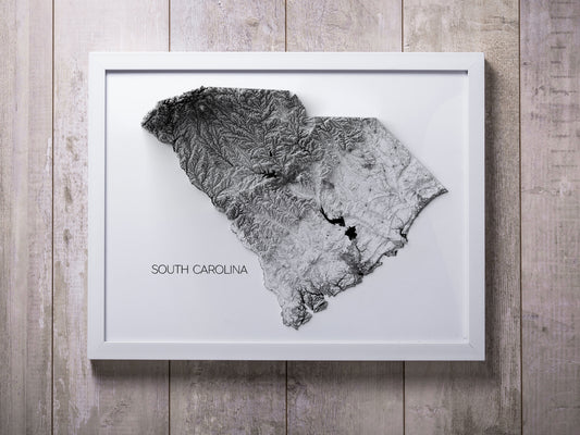 South Carolina Elevation Map
