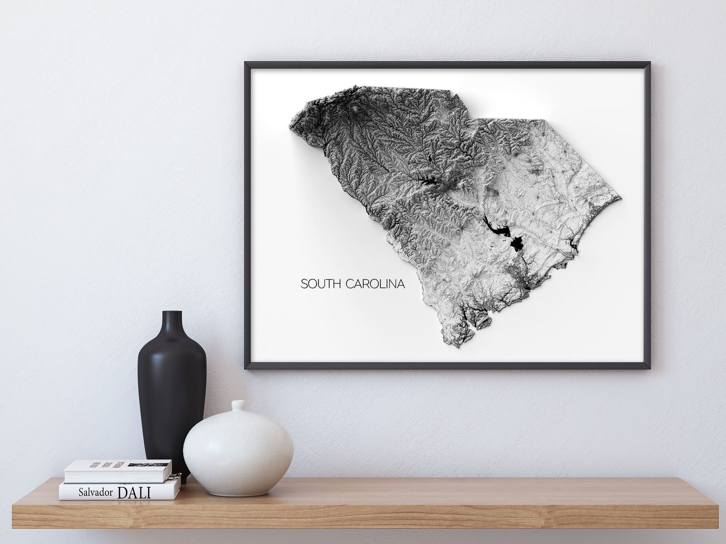 South Carolina Elevation Map