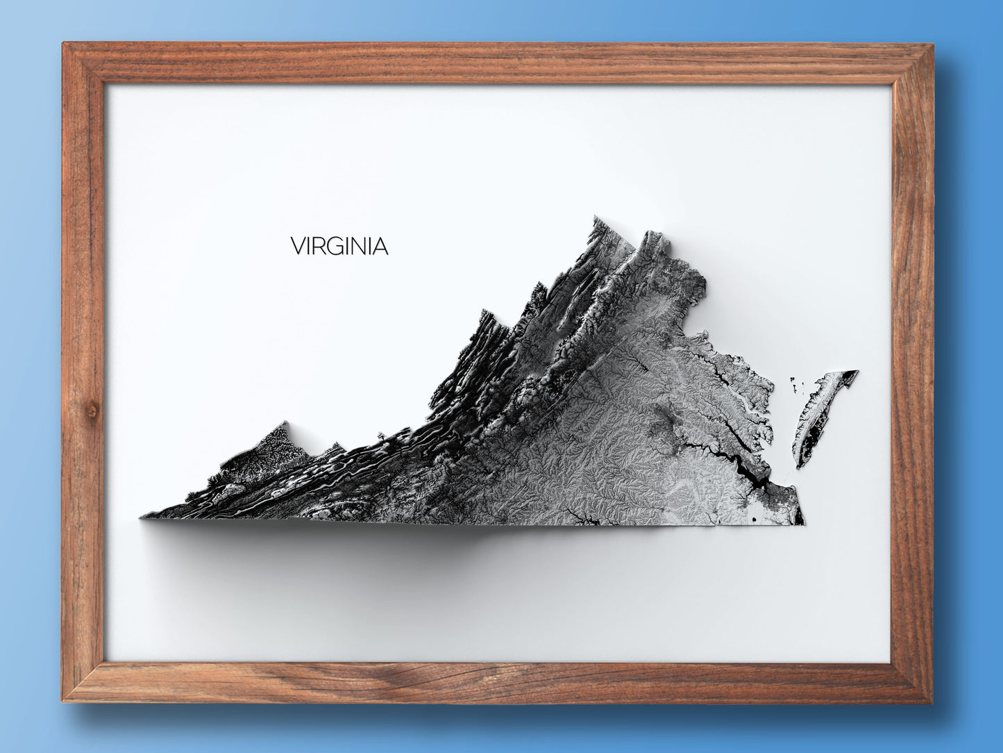Virginia Elevation Map