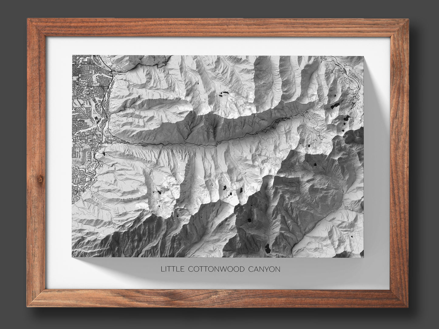 LCC (Little Cottonwood Canyon) Elevation Map