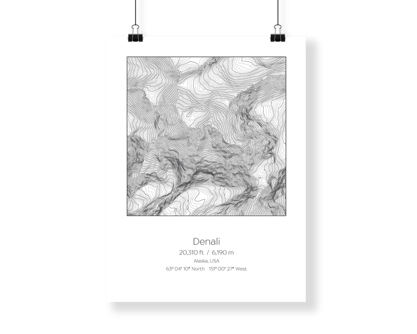 Denali, Alaska Topography Elevation Print Wall Art