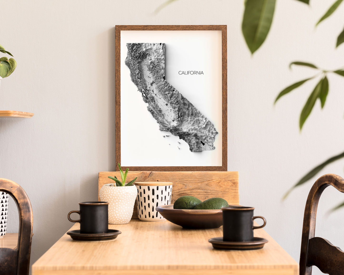 California Elevation Map