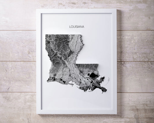 Louisiana Elevation Map