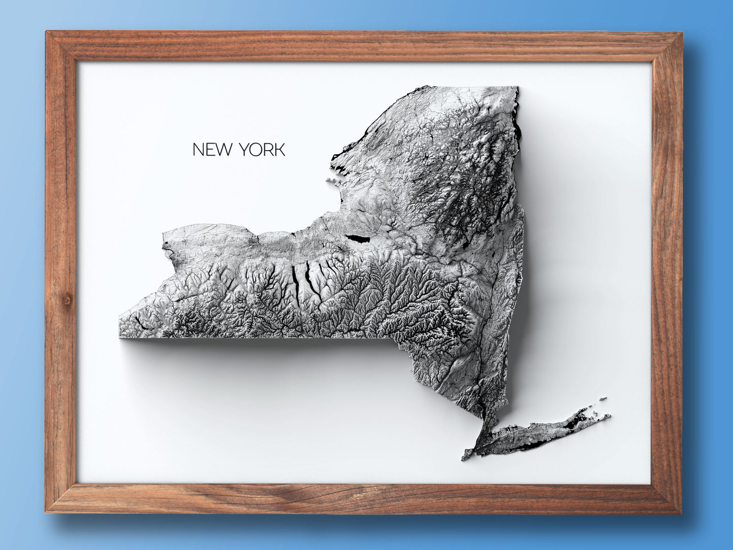 New York Elevation map