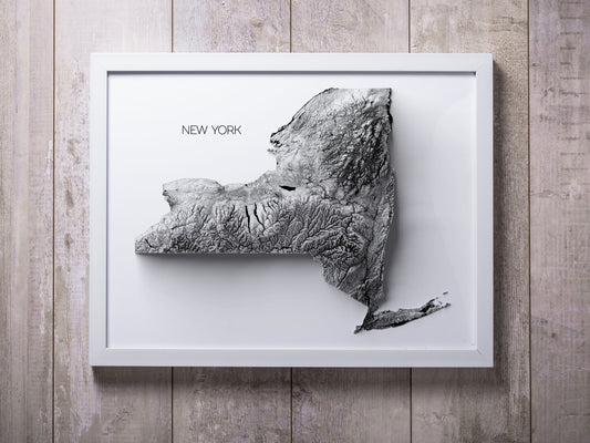 New York Elevation map