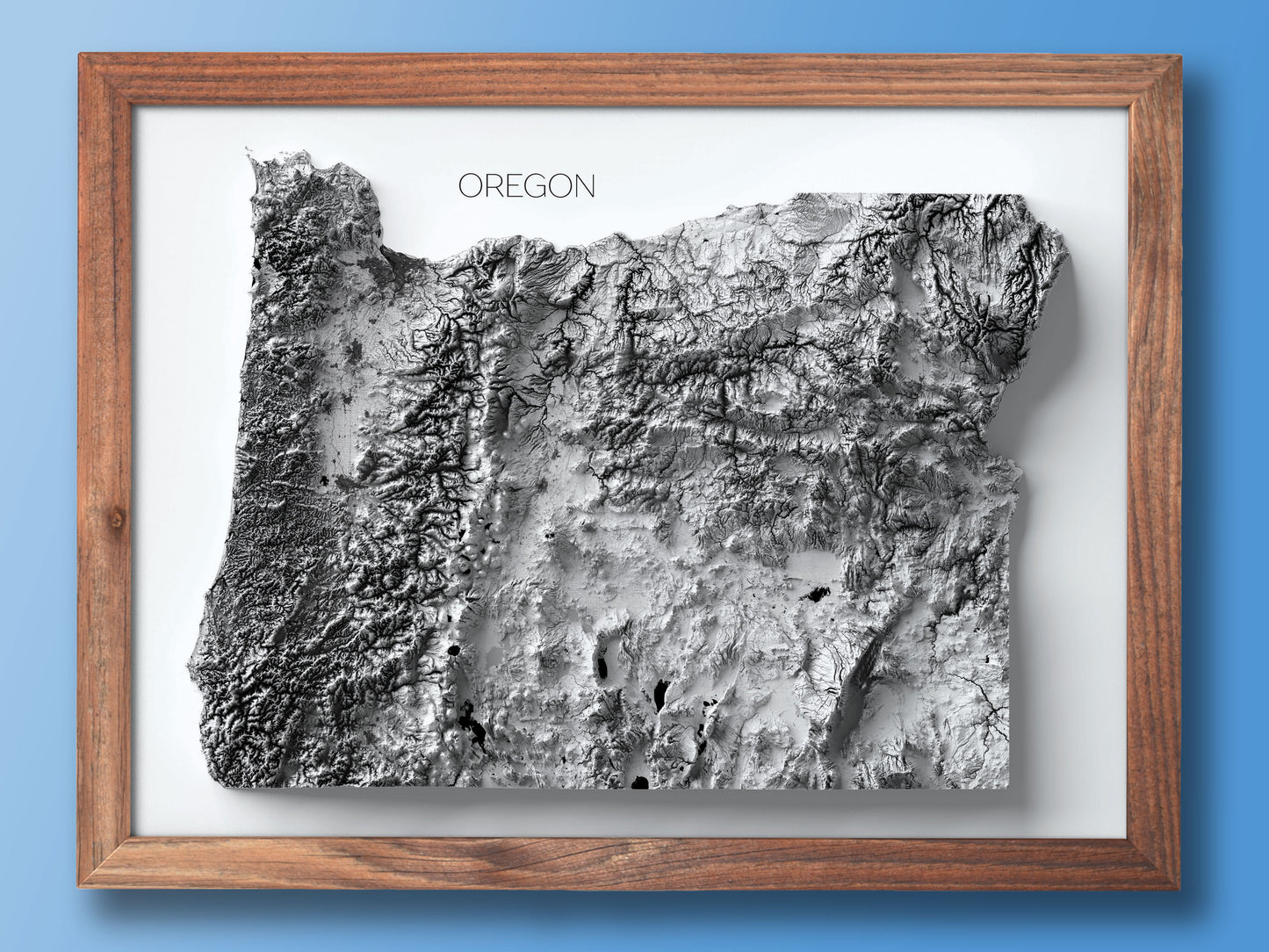 Oregon Elevation Map