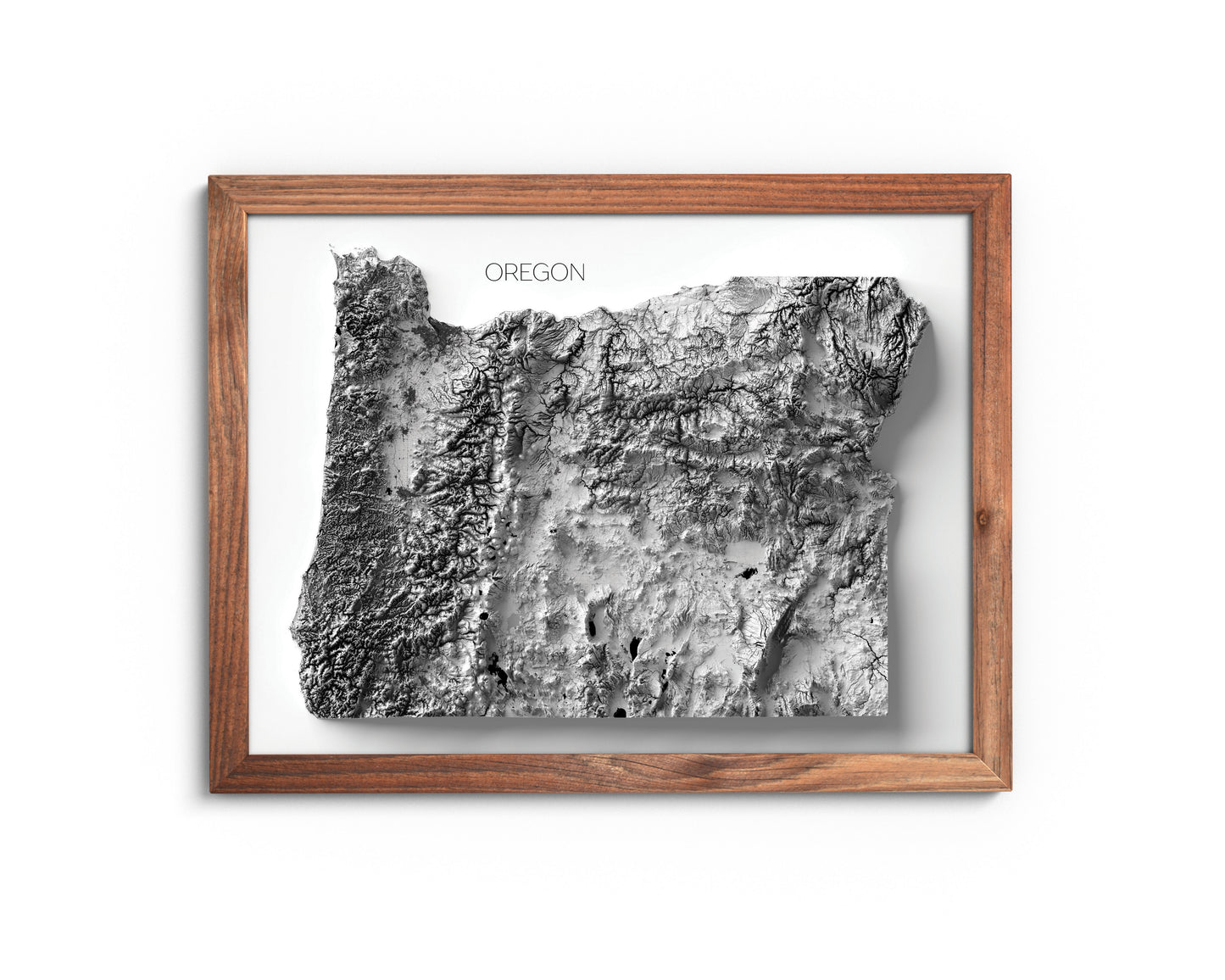 Oregon Elevation Map