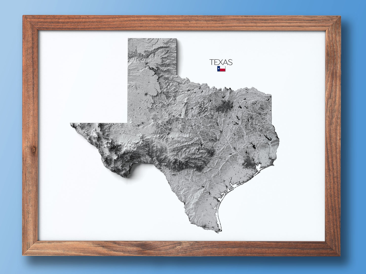 Texas Elevation Map