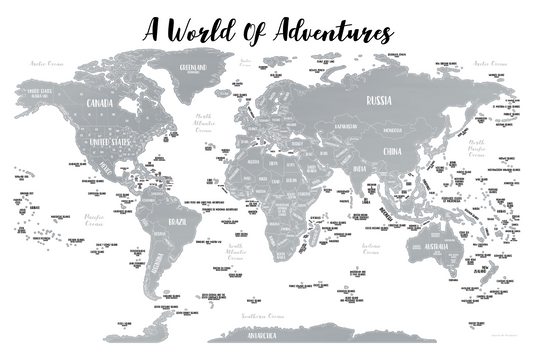 LARGE SILVER World Map (36x24)