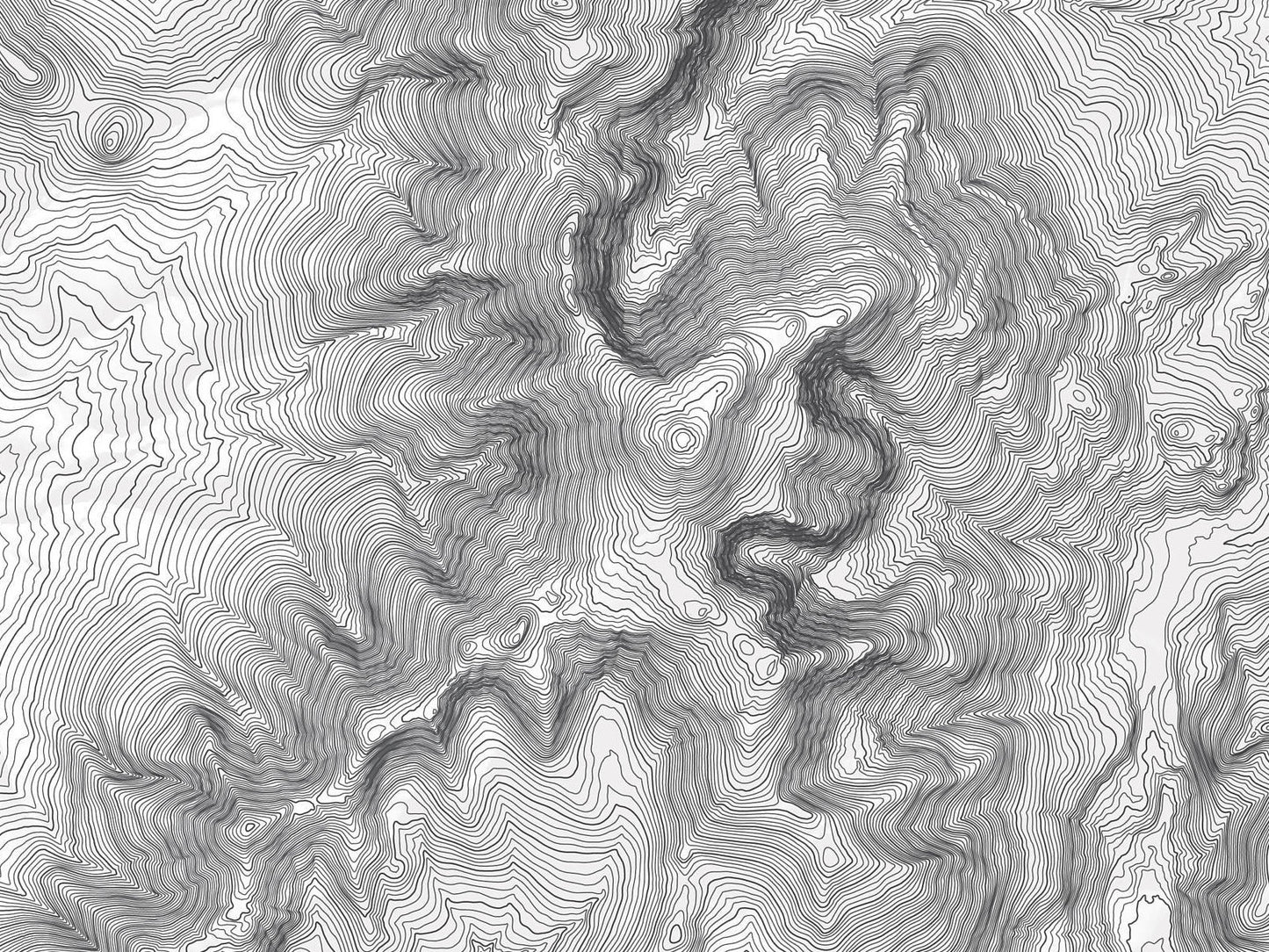 Mount Washington, New Hampshire Topography Elevation Print Wall Art